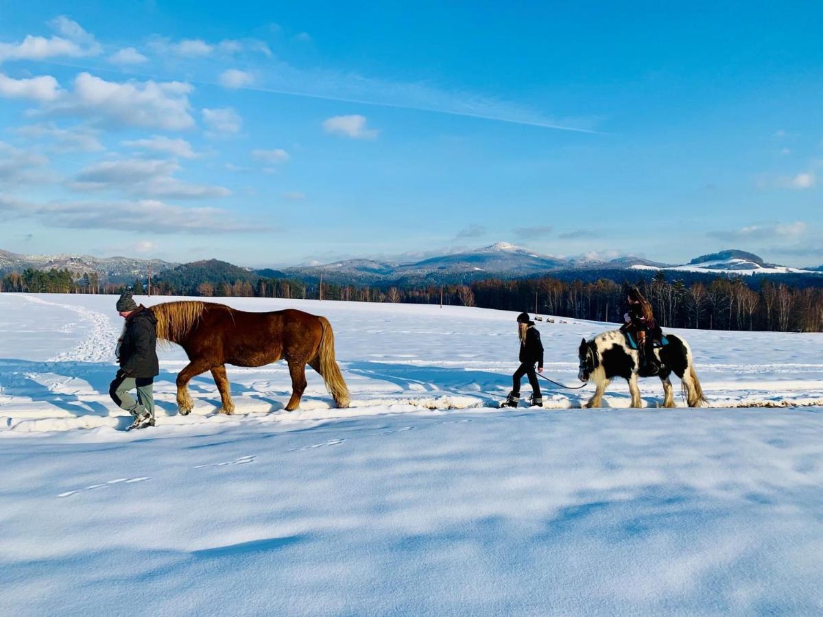 Resort Mezna Hrensko Bagian luar foto